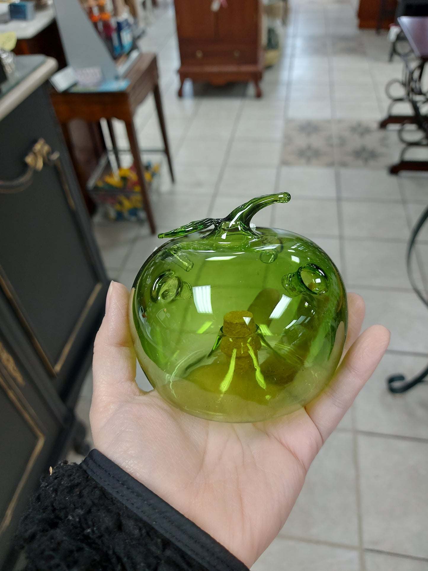 Fruit Fly Trap