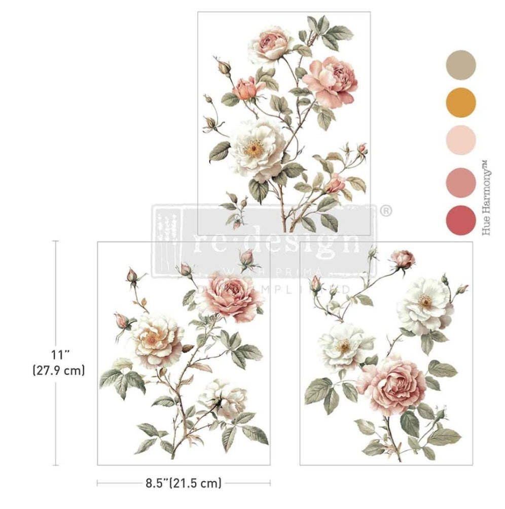 Transfer 8.5x11 - Creamy Blush Blooms