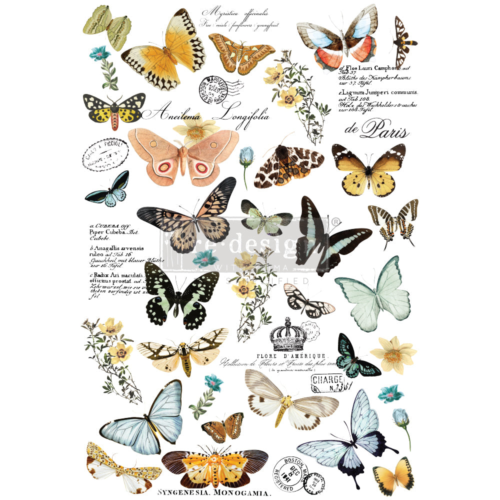 Transfer 24x35 - Butterfly Dance