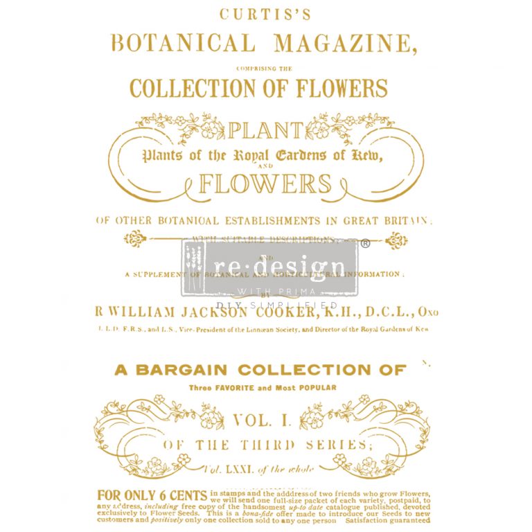 Transfer 23.4x34 - Flower Collector