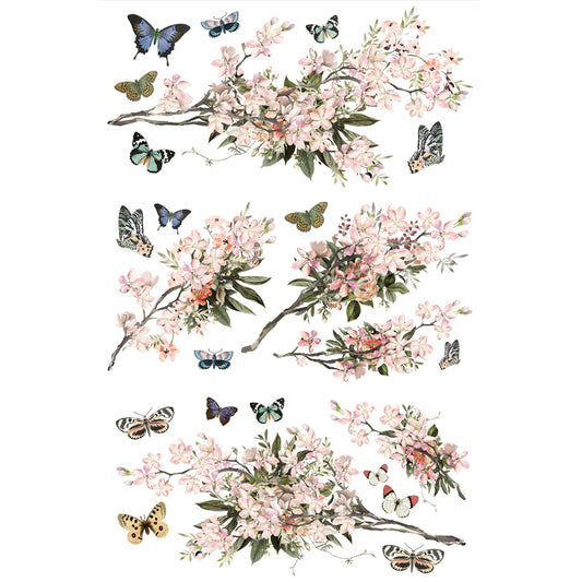 Transfer 24x35 - Blossom Botanica