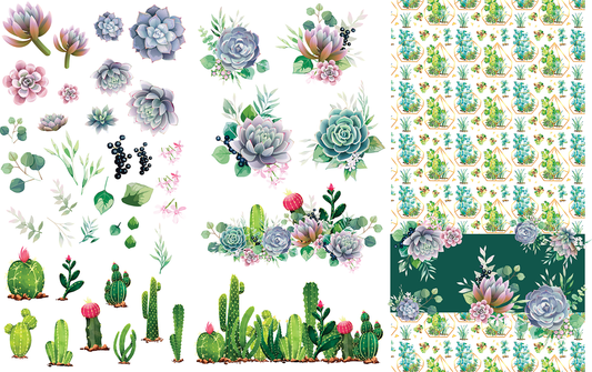 Belles & Whistles Transfer 38.8x24.8 - Cacti & Succulents