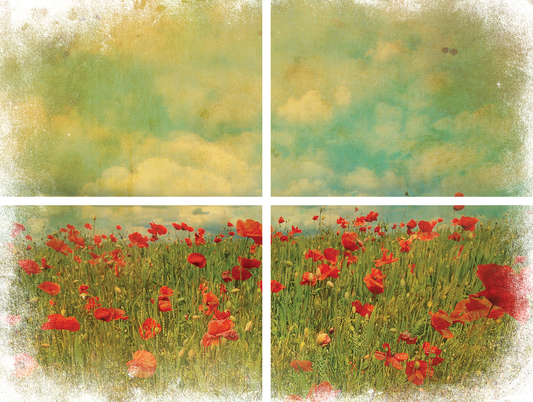 Belles & Whistles Transfer 32x24 - Field of Flowers