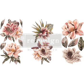 Transfer 6x12 - Exotica