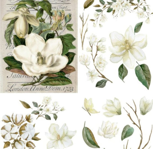 Belles & Whistles Transfer 24x32 - Magnolia Garden