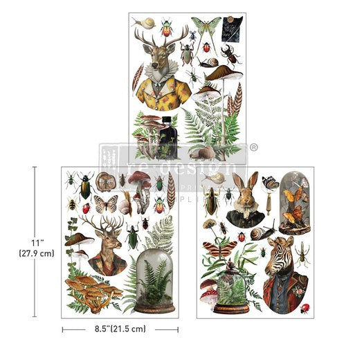 Transfer Middy 8.5x11 - Ephemera Enclave