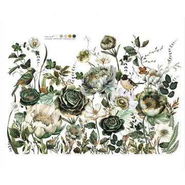 Transfer 24x35 - Botanical Journal