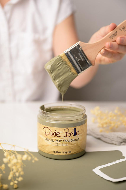 Dixie Belle Chalk Mineral Paint - Thicket