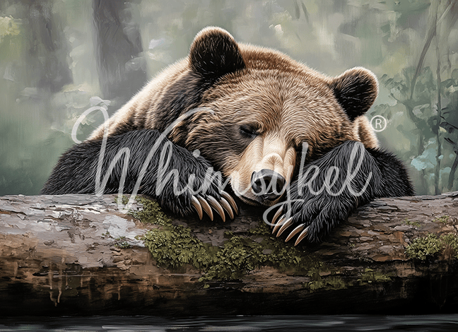 Whimsykel Decoupage Paper 21x29 - Tuckered Teddy