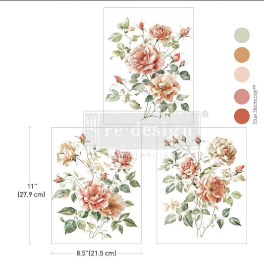 Transfer 8.5x11 - Gentle Symphony