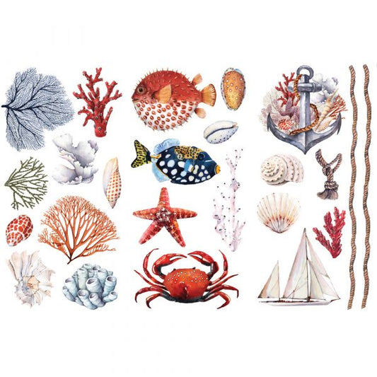 Transfer 6x12 - Amazing Sea Life