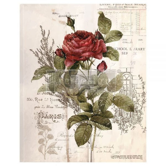 Transfer 24x30 - Botanical Rose