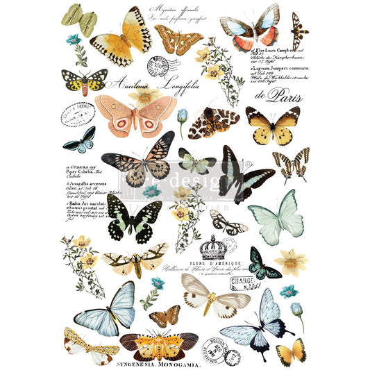 Transfer 24x35 - Butterfly Dance
