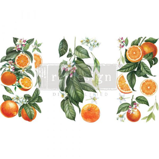 Transfer 6x12 - Citrus Slice