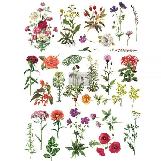 Transfer 24x34 - Floral Collection