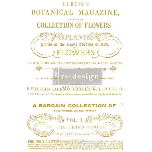 Transfer 23.4x34 - Flower Collector