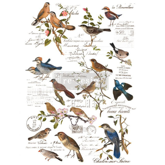 Transfer 24x35 - Postal Birds