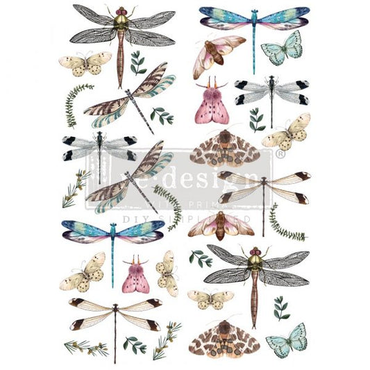 Transfer 24x35 - Riverbed Dragonflies