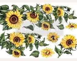 Transfer 24x35 - Sunflower