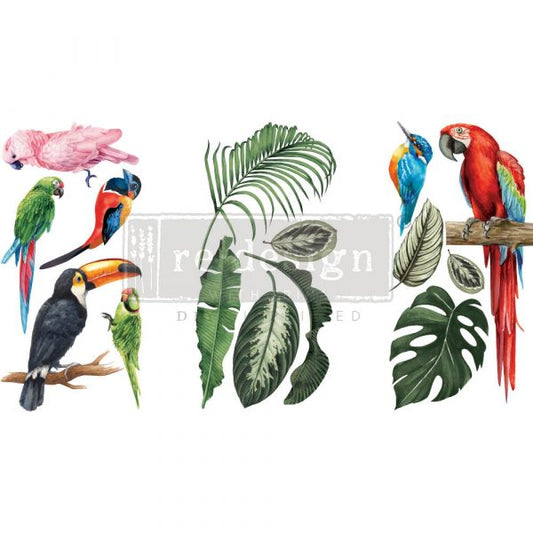 Transfer 6x12 - Tropical Birds